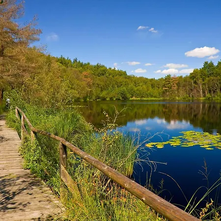 Mueritzausblick - Altstadtidyll Mit Hafenblick شقة