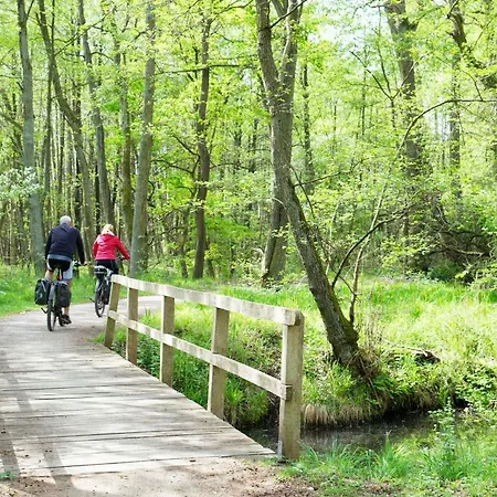 Mueritzausblick - Altstadtidyll Mit Hafenblick